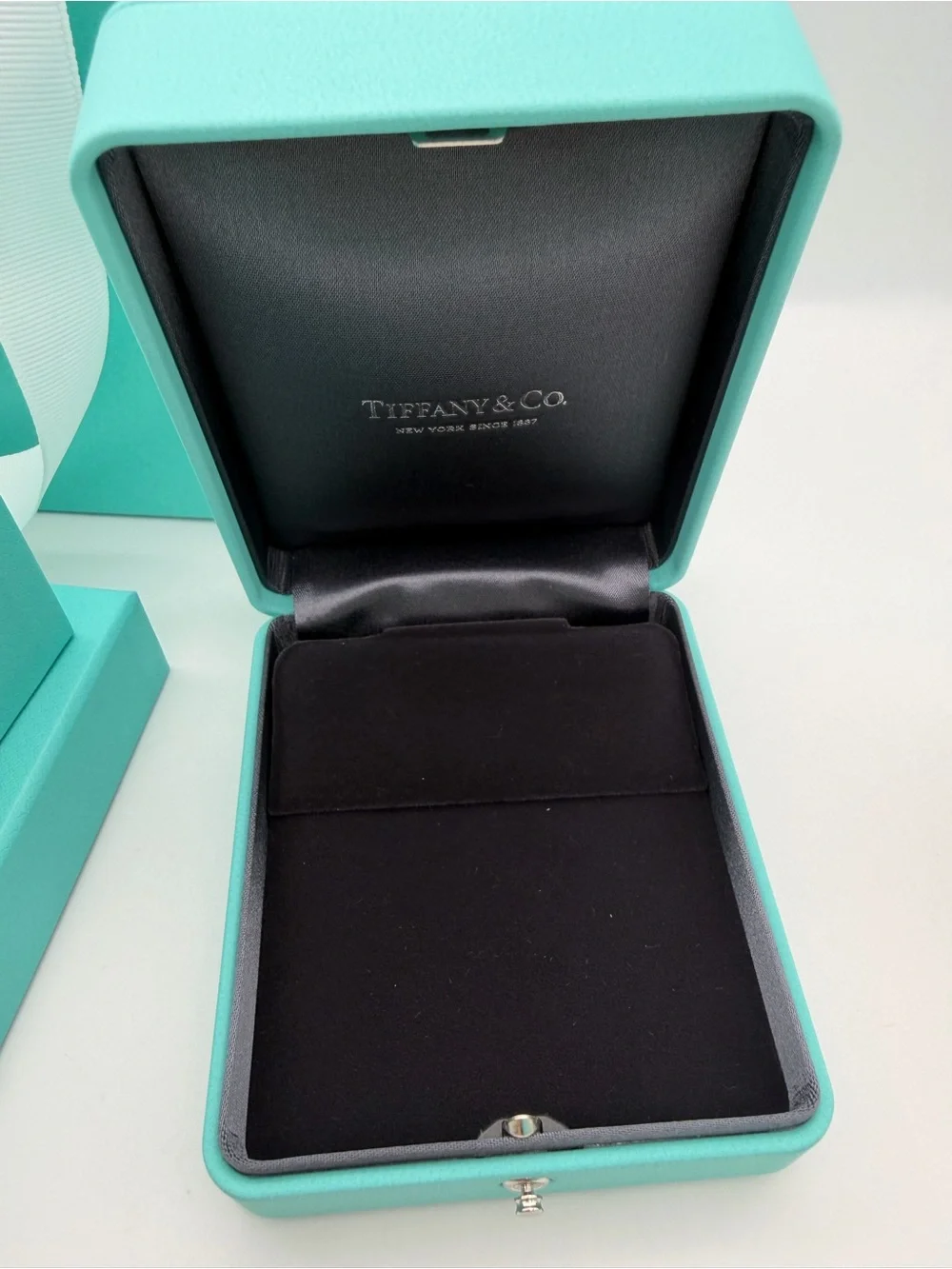 Tiffany & Co New Earring Display Box + Shopping Bag